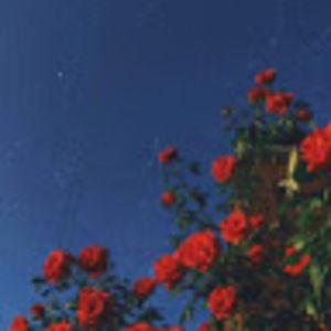 Meet your Posher, Joanne